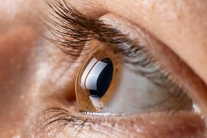 كيف تكشف شبكية العين عن مخاطر الإصابة بأمراض القلب والرئة؟