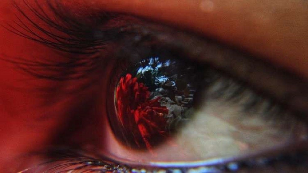 دراسة صينية بريطانية توضح تأثير بكتيريا الأمعاء على العين