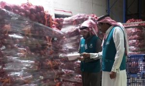 “التجارة” تضبط 8 أطنان بصل مخزنة في مستودع جنوب الرياض