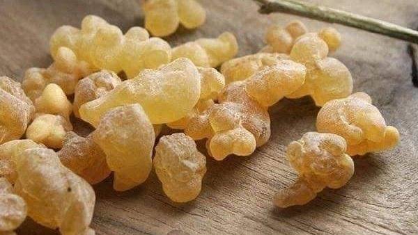 يزيد من نوبات الربو ويسبب حساسية في الصدر.. طبيب يحذر من بخور اللبان والمستكا