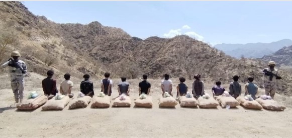 القبض على 12 مخالفًا لتهريبهم 180 كيلوجرامًا من نبات القات المخدر بعسير