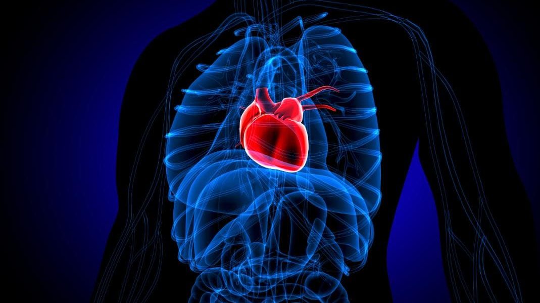 استشاري قلب لـ”الوئام”: متلازمة القلب المكسور تصيب النساء بعد انقطاع الطمث
