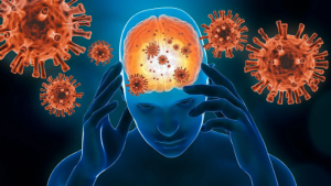هل يؤثر فيروس “كورونا” على الدماغ؟ دراسة جديدة تُجيب