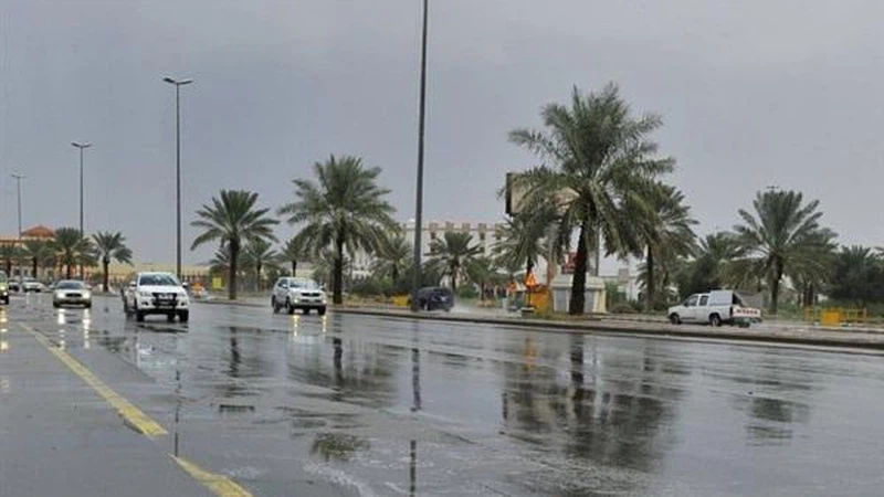 الزعاق: غدًا أول موسم العقارب.. وبدايته امتداد لموسم الشتاء القارس