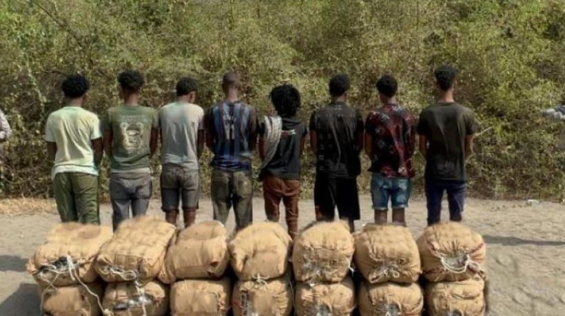 القبض على 8 مخالفين لنظام أمن الحدود لتهريبهم 320 كيلوجرامًا من القات بجازان