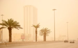 انخفاض العواصف الغبارية.. تحول بيئي يمهد الطريق لـ«السعودية الخضراء»