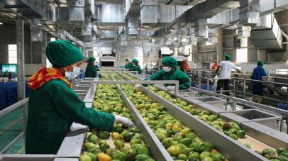 التصنيع الزراعي رهان السعودية لتحقيق الأمن الغذائي والتنمية المستدامة