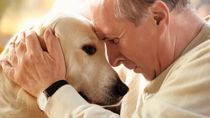 دراسة كندية: الكلاب تشم الذكريات الصادمة لدى البشر