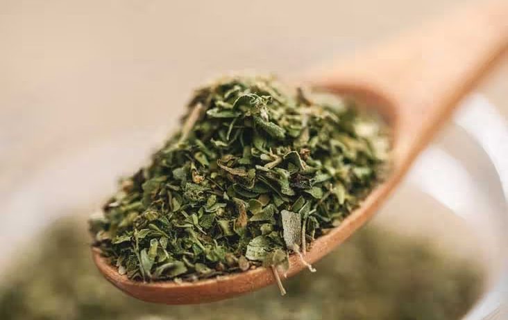 ما هو الأوريغانو؟ العشبة رقم 1 للحفاظ على ضغط الدم تحت السيطرة فوائد الأوريغانو