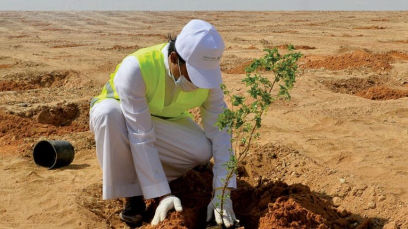 خطوات على طريق مستقبل صديق للبيئة
