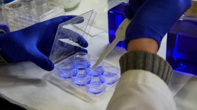 دراسة سعودية تكتشف فاعلية الفيروسات المعدلة جينياً في علاج سرطان الثدي