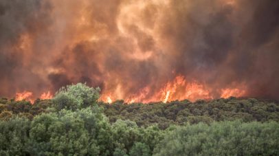 إعلان حالة التأهب في اليونان مع بداية مبكرة لموسم حرائق الغابات