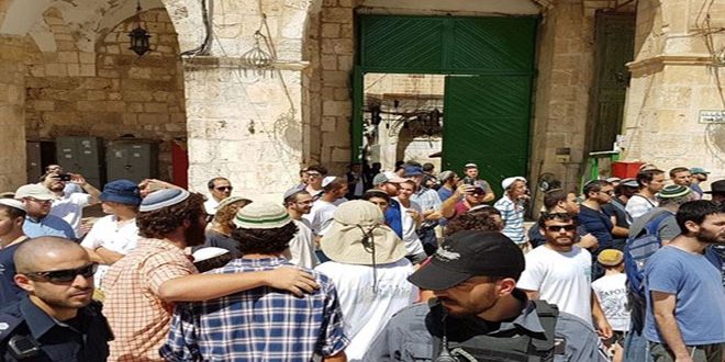 مستوطنون متطرفون يقتحمون باحات المسجد الأقصى بثالث أيام عيد الفصح اليهودي