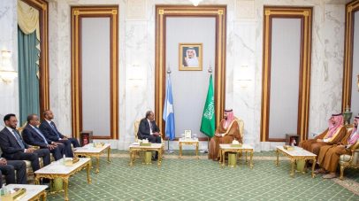 ولي العهد يستعرض مع رئيس الصومال العلاقات الثنائية ومجالات التعاون المشترك