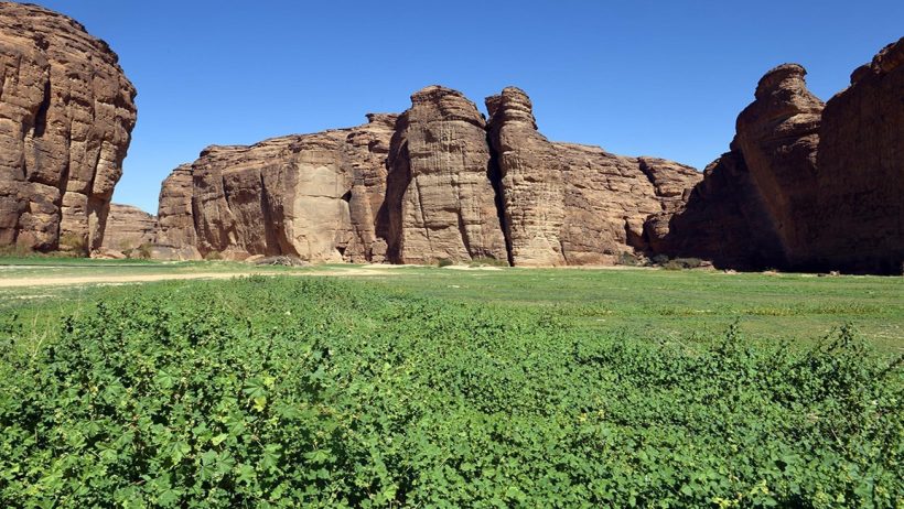 محممية شرعان محافظة العلا