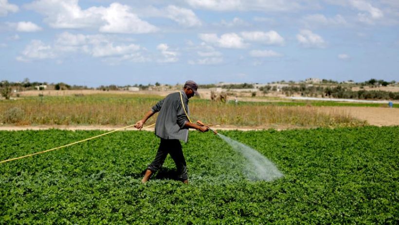 “واشنطن بوست”: غزة فقدت القدرة على زراعة غذائها بسبب الحرب