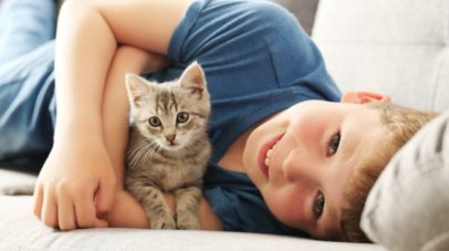 دراسة أسترالية: تربية القطط في الصغر تزيد خطر الإصابة بالفصام