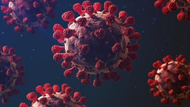 صدمة للعالم.. إقرار “التباعد الاجتماعي” إبان كورونا لم يستند لدليل علمي