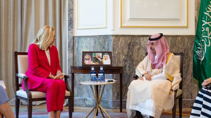 وزير الخارجية يلتقي منسقة الأمم المتحدة للشؤون الإنسانية وإعادة الإعمار في غزة