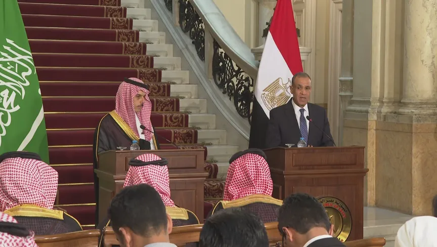 وزير الخارجية: تجاوزات إسرائيل في غزة غير مقبولة وتمثل جرائم حرب