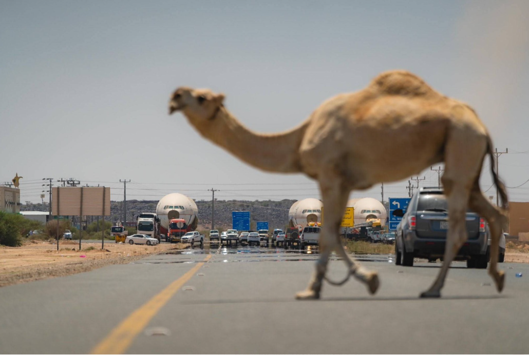تفاعل السعودية - “موسم الرياض”.. خمس سنوات من الترفيه والإبداع بلا حدود