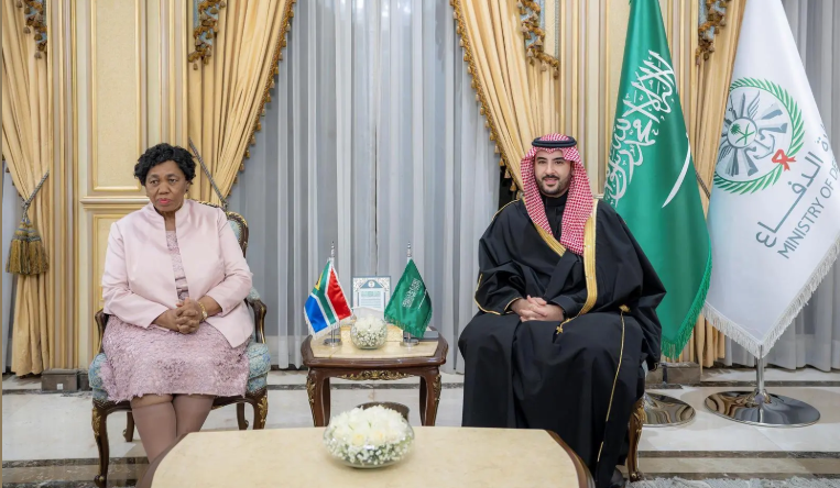وزير الدفاع يلتقي نظيرته الجنوب إفريقية