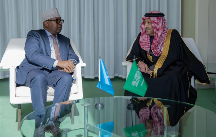 مباحثات سعودية مع الصومال وسيراليون وباكستان