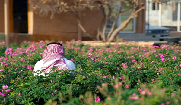 “ريف السعودية” يُطلق “شتانا ريفي” بالمدينة المنورة