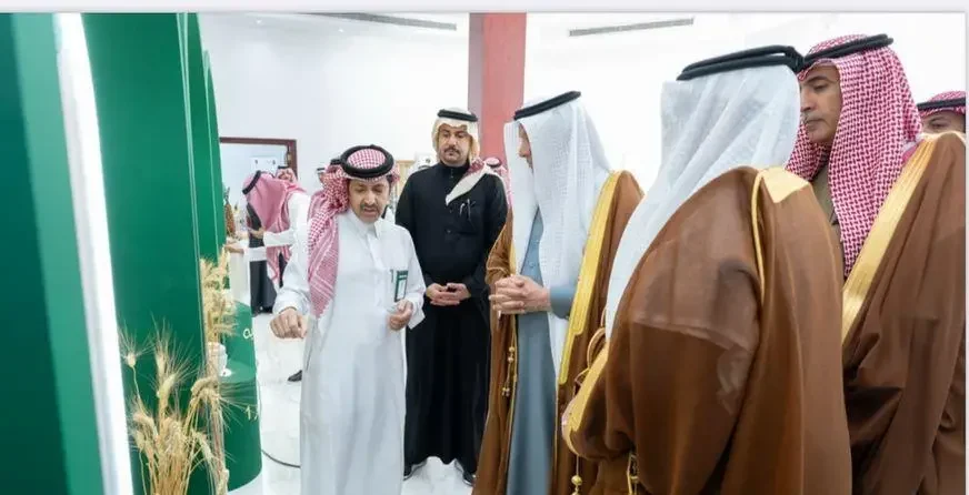 لتحقيق الاكتفاء الذاتي.. تدشين 3 أصناف عالية الإنتاجية من القمح