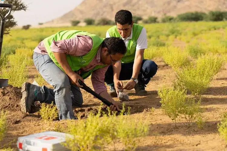 طرح فرصتين للاستثمار في متنزهين وطنيين بجازان