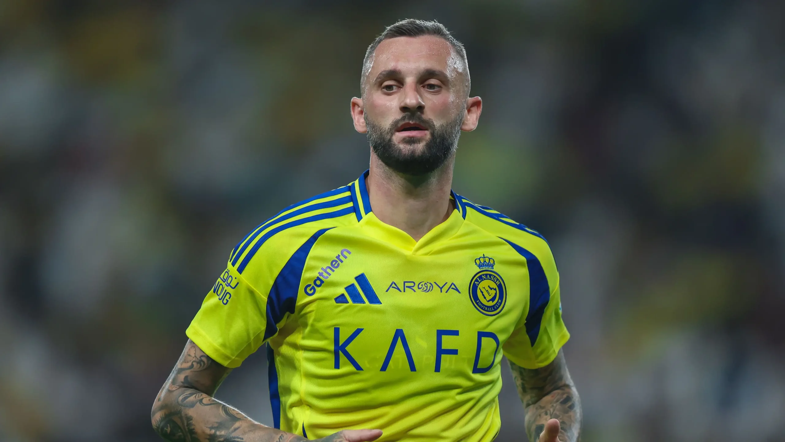 قرار جديد في النصر بشأن عودة بروزوفيتش للتدريبات بروزفيتش