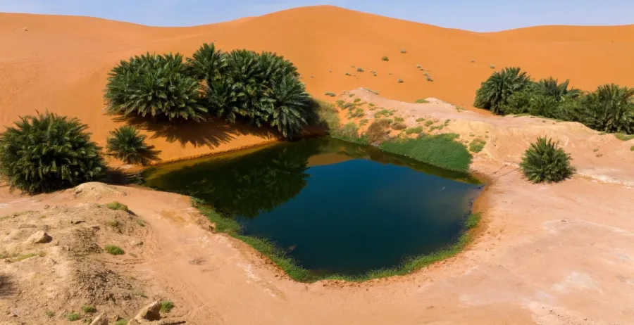 ماذا يعني انضمام موقعين سعوديين لشبكة الجيوبارك العالمية؟
