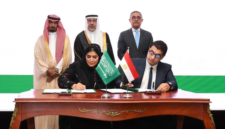 لمواجهة البيع العشوائي.. مصادرة 30 طنا من الفواكه والخضراوات في جدة