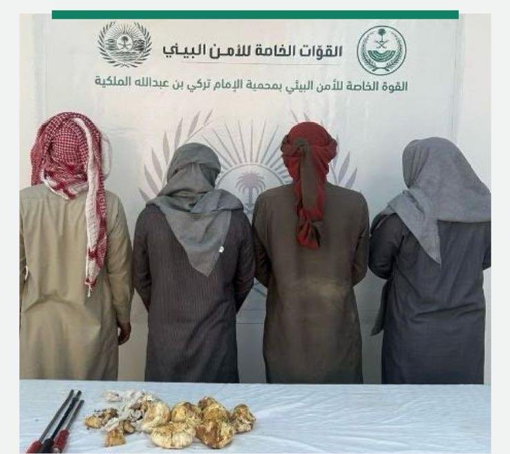 ضبط 4 مخالفين لنظام البيئة
