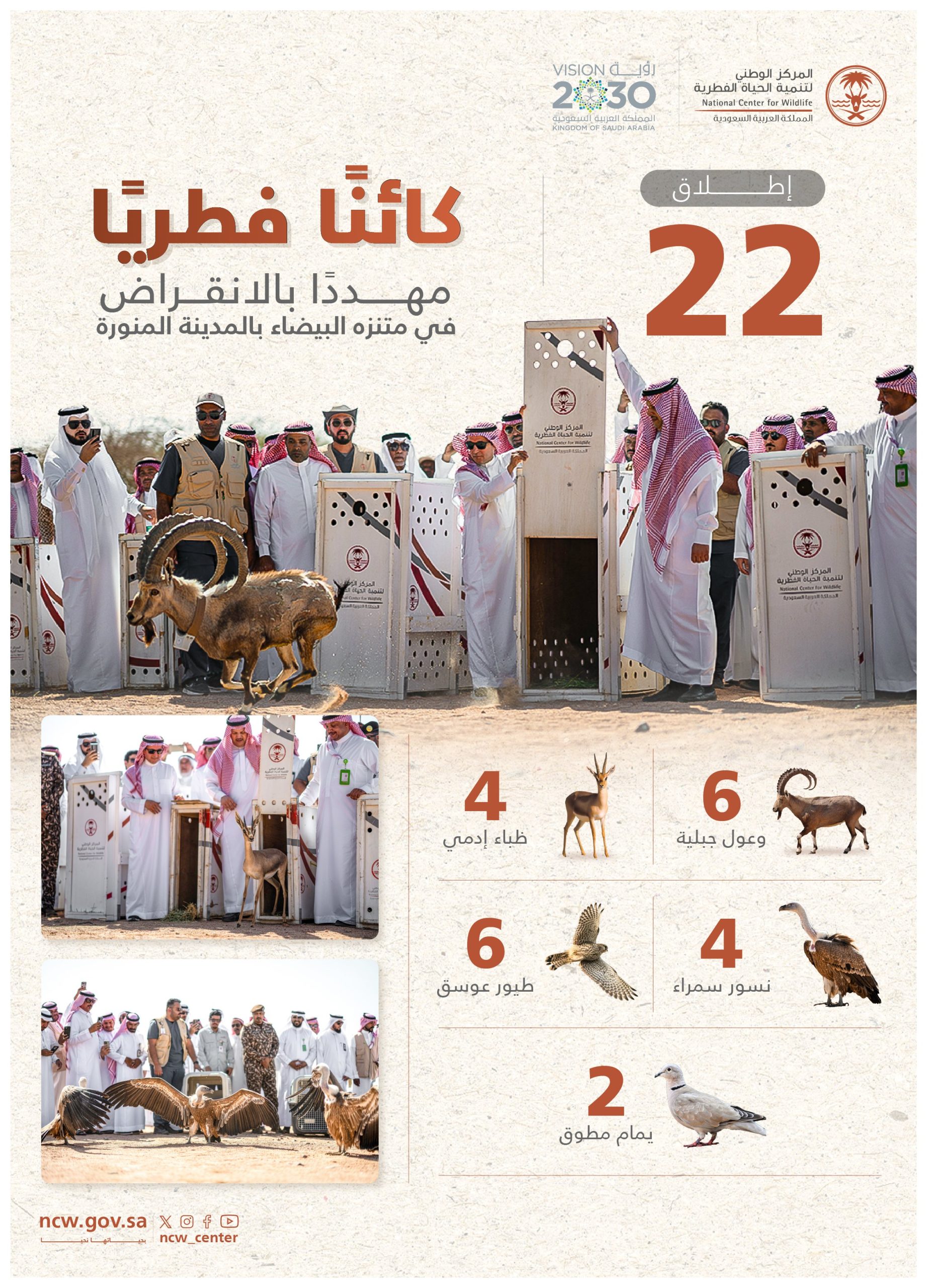 متنزه البيضاء البري يستقبل 22 كائنا فطريا مهددا بالانقراض