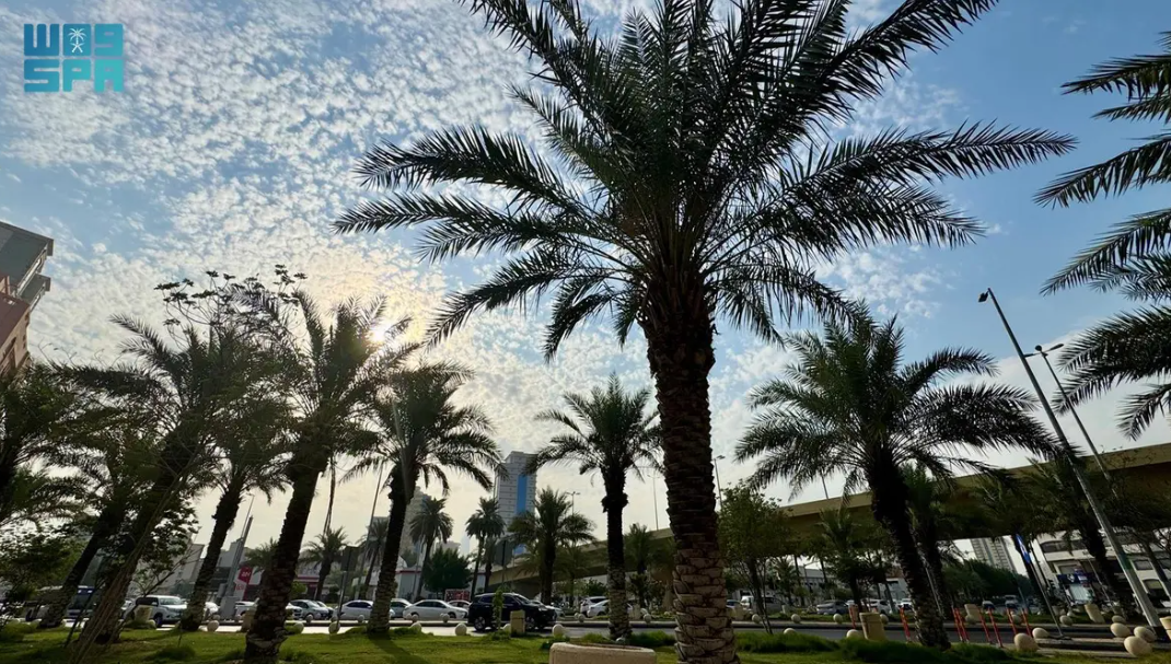 “بيئتنا كنز”.. الطائف والأحساء تشاركان في أسبوع البيئة 2025