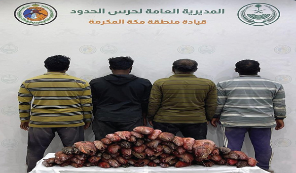 ضبط 4 مخالفين للائحة الأمن والسلامة لمزاولي الأنشطة البحرية في مكة
