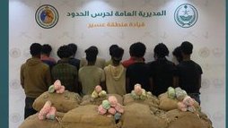 القبض على 14 مخالفا لتهريبهم 252 كيلو قات في عسير