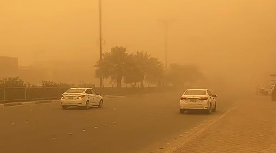 حتى الـ8 مساءً.. عوالق ترابية وتدن في الرؤية بالباحة