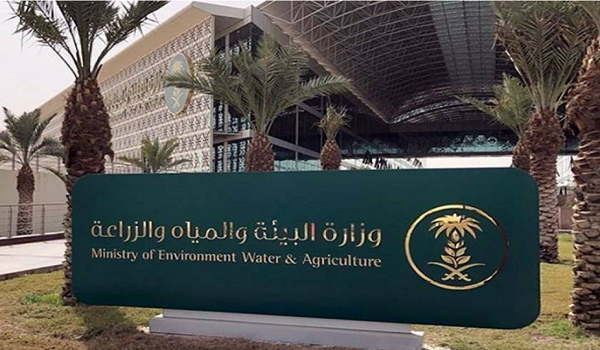 طَرح فرصة استثمارية للبيوت المحمية والزراعة المائية في تبوك