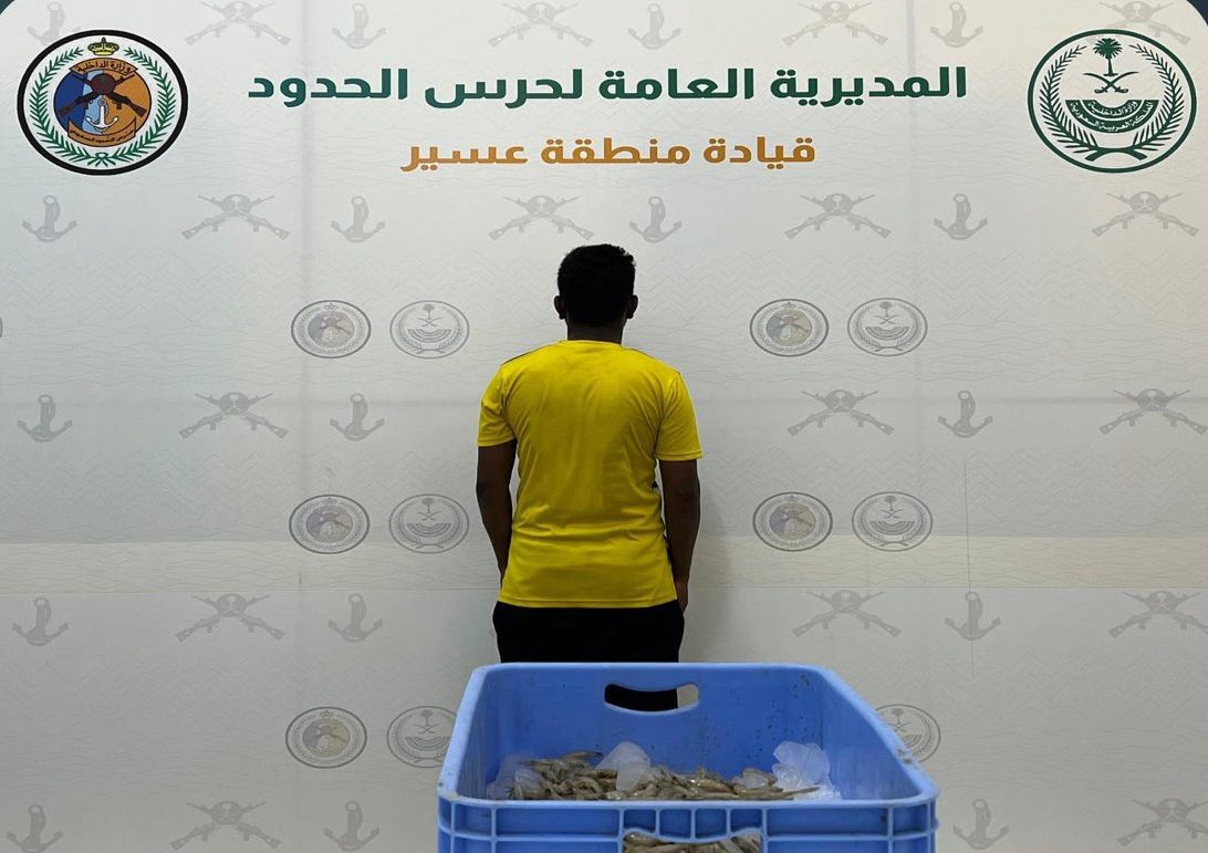 ضبط مخالف يصيد دون تصريح بسواحل عسير