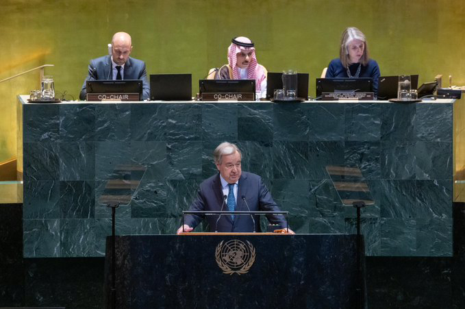 وزير الخارجية يعتمد مخرجات مؤتمر حل الدولتين