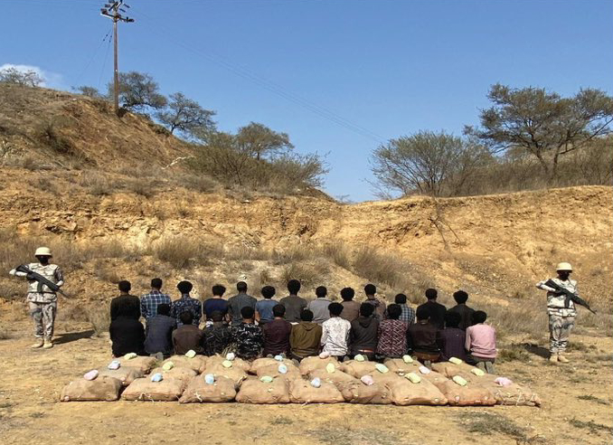 القبض على 26 شخصًا بحوزتهم نصف طن قات في جازان
