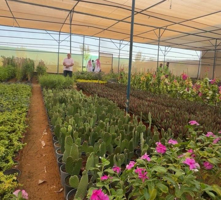 كاكست تطلق هاكثون الذكاء الاصطناعي لاكتشاف المواد بإشراف عمر ياغي