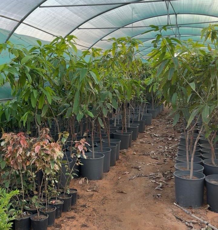 كاكست تطلق هاكثون الذكاء الاصطناعي لاكتشاف المواد بإشراف عمر ياغي