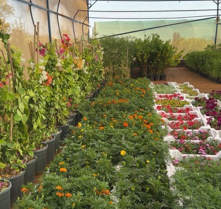 كاكست تطلق هاكثون الذكاء الاصطناعي لاكتشاف المواد بإشراف عمر ياغي