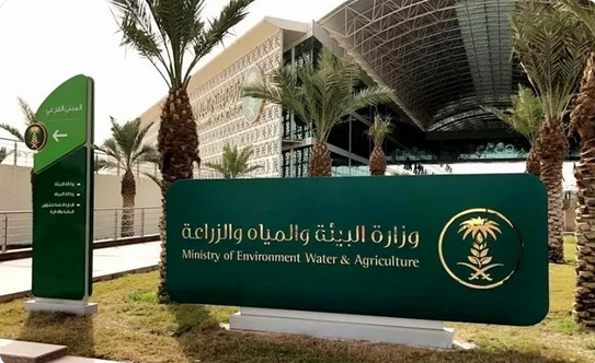 “زراعة الجوف”: ذبح 8525 رأس ماشية وغرامات بـ 11800 ريال خلال سبتمبر