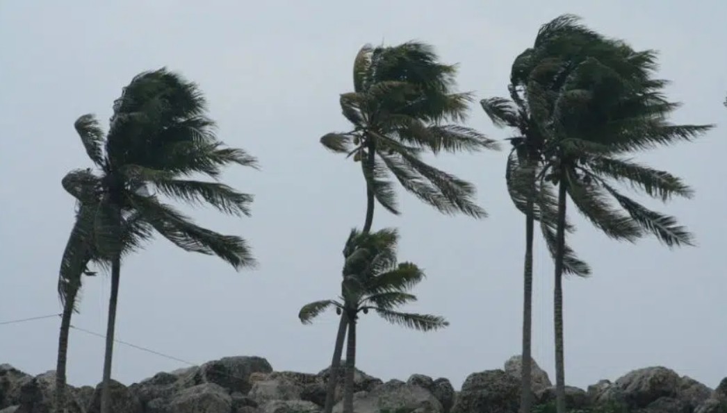 أمطار رعدية وبرد ورياح نشطة تضرب عدة مناطق