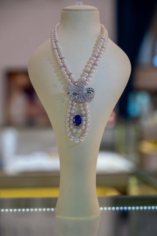 خوفا من أجندة تطهير جنوب أفريقيا ترفض استقبال رحلات للفلسطينيين