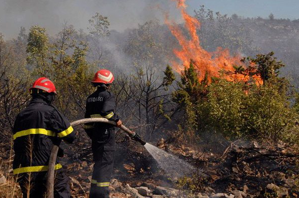 خلال 24 ساعة.. 24 حريقا بالغطاء النباتي في الجزائر